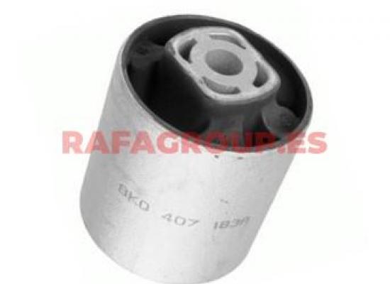 RG30218 - Suspensión, Brazo ascilente